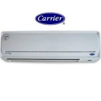 ML Carrier